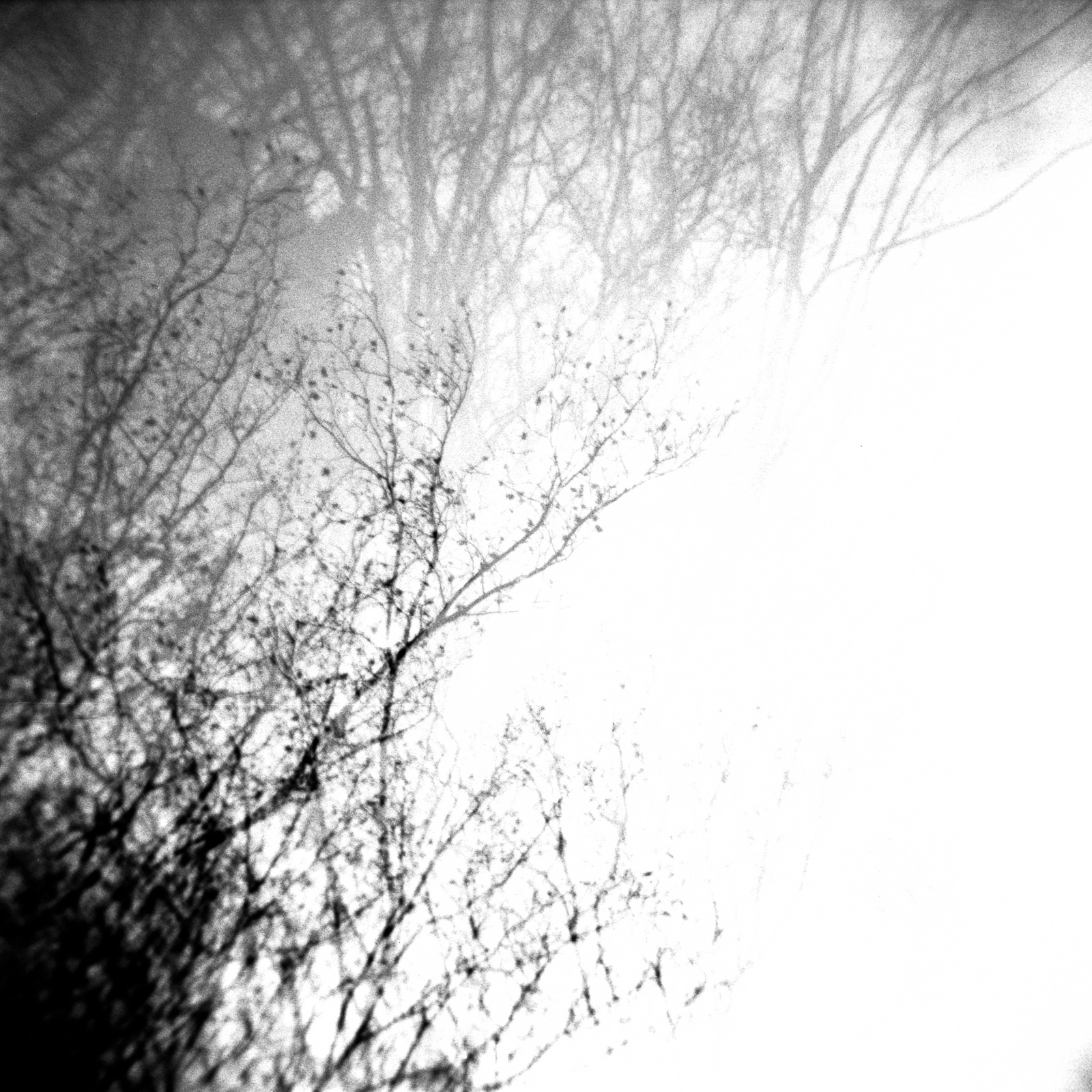 Experimental