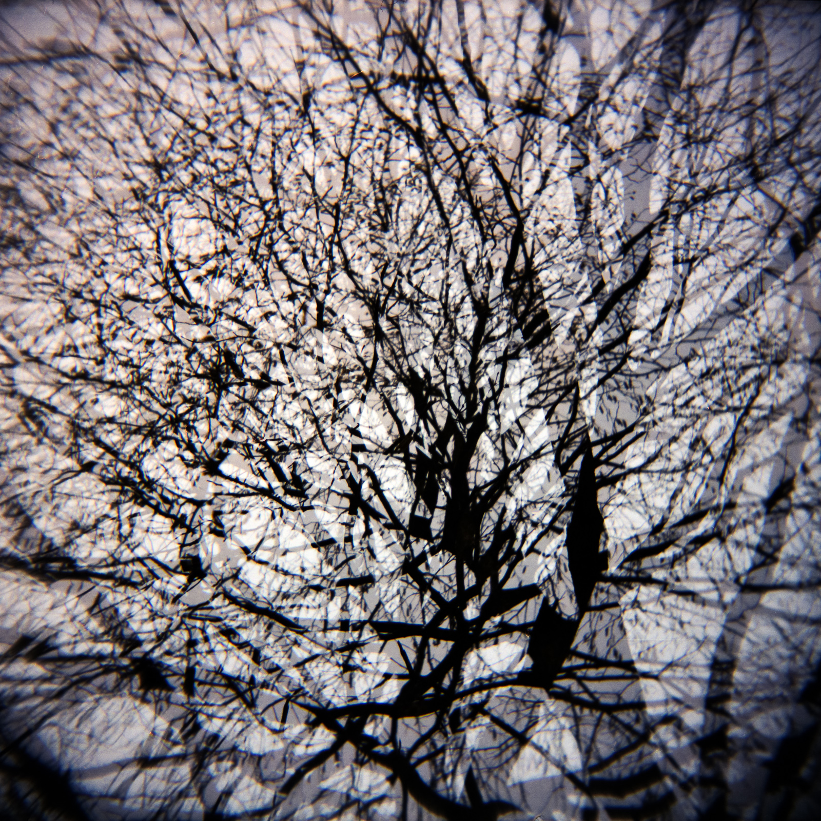 Experimental