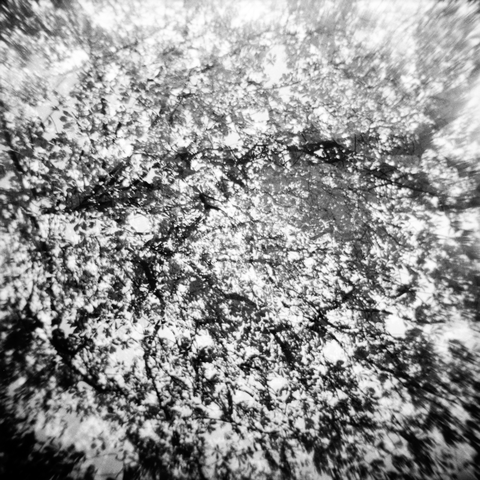 Experimental