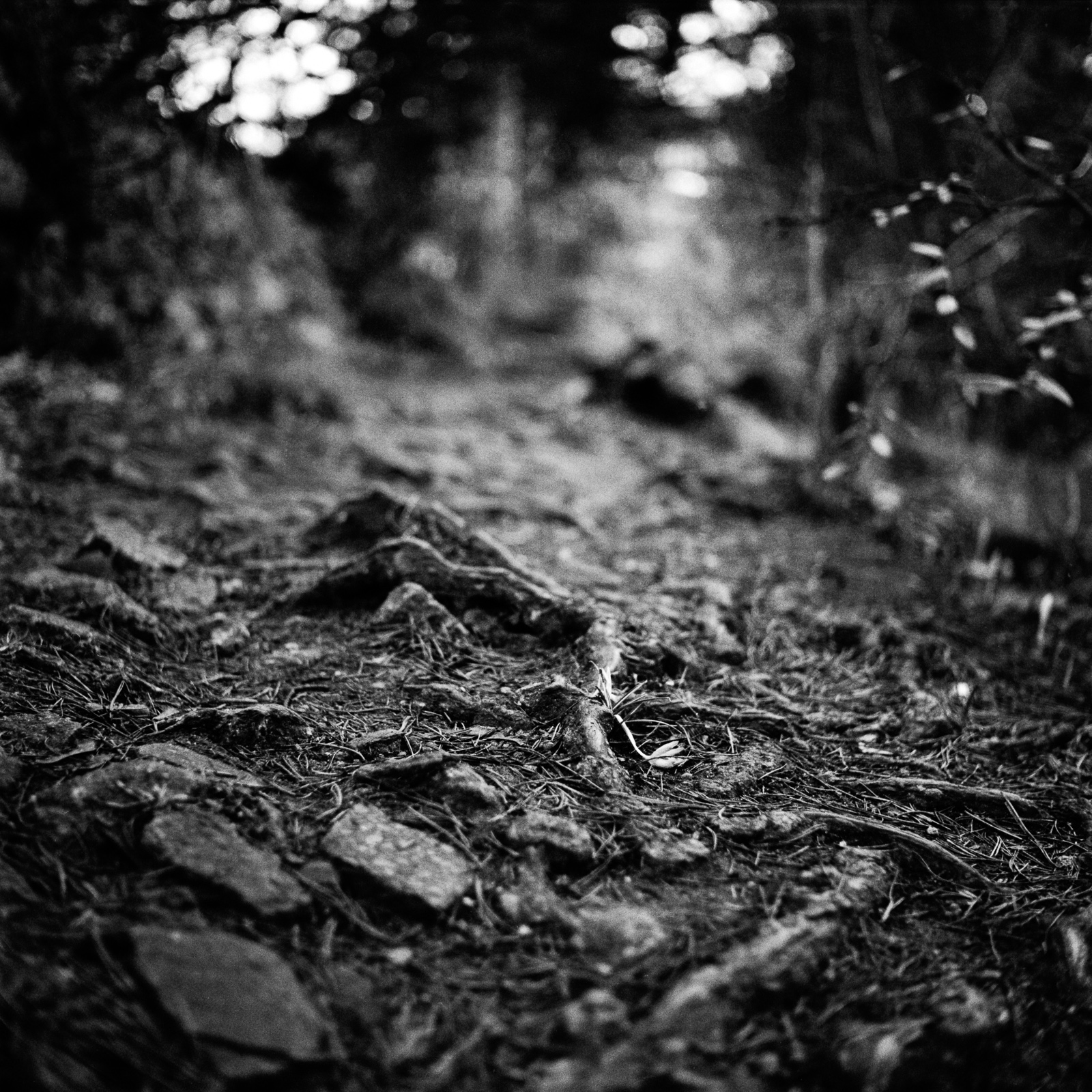 In Nature