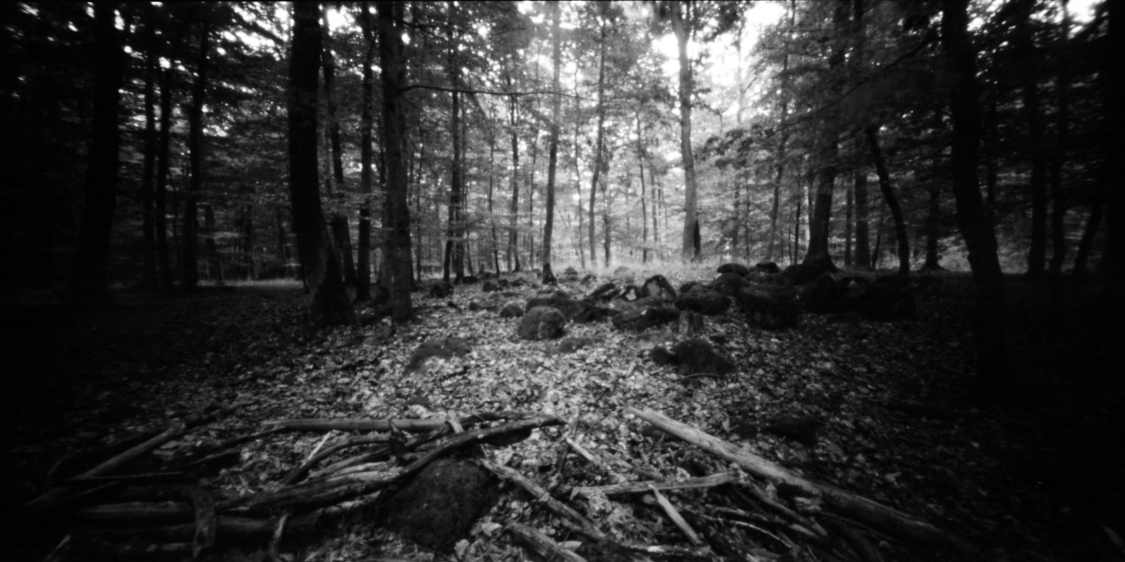 Pinhole